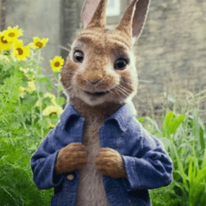 James Corden Peter Rabbit 2 The Runaway Jeans Jacket