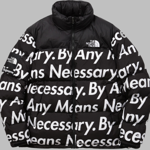 Supreme X The North Face By Any Means Puffer Jacket